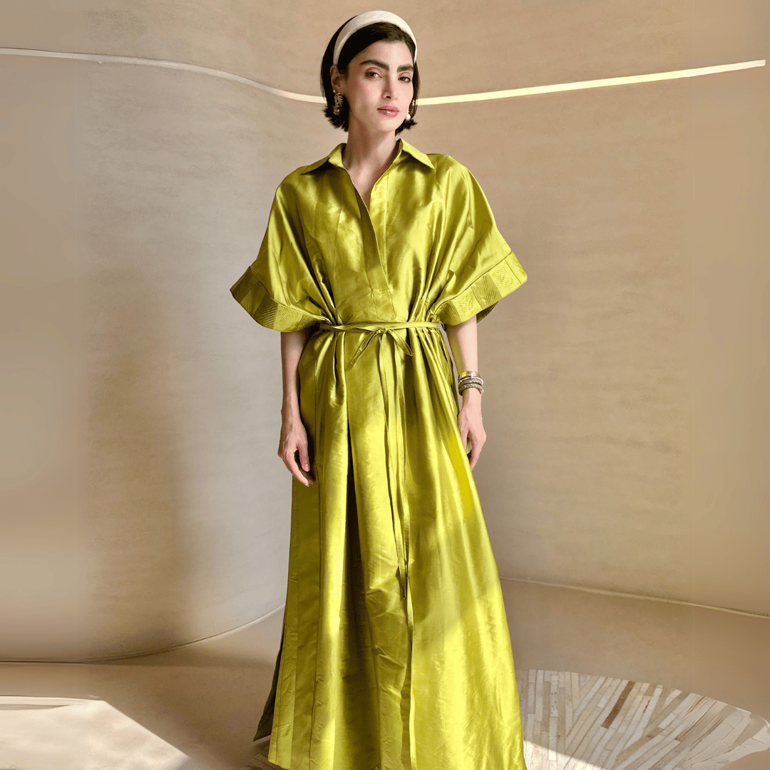 Sleeve Pleated Dress
