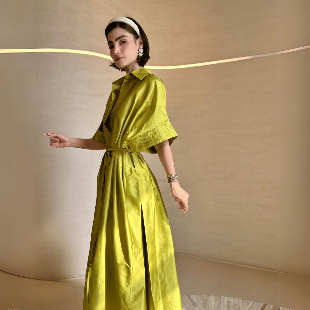 Sleeve Pleated Dress